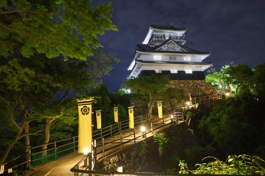 岐阜市將岐阜城的夜景作為國家級旅遊景點進行推廣，充分利用了「三大山城夜景」的優勢。