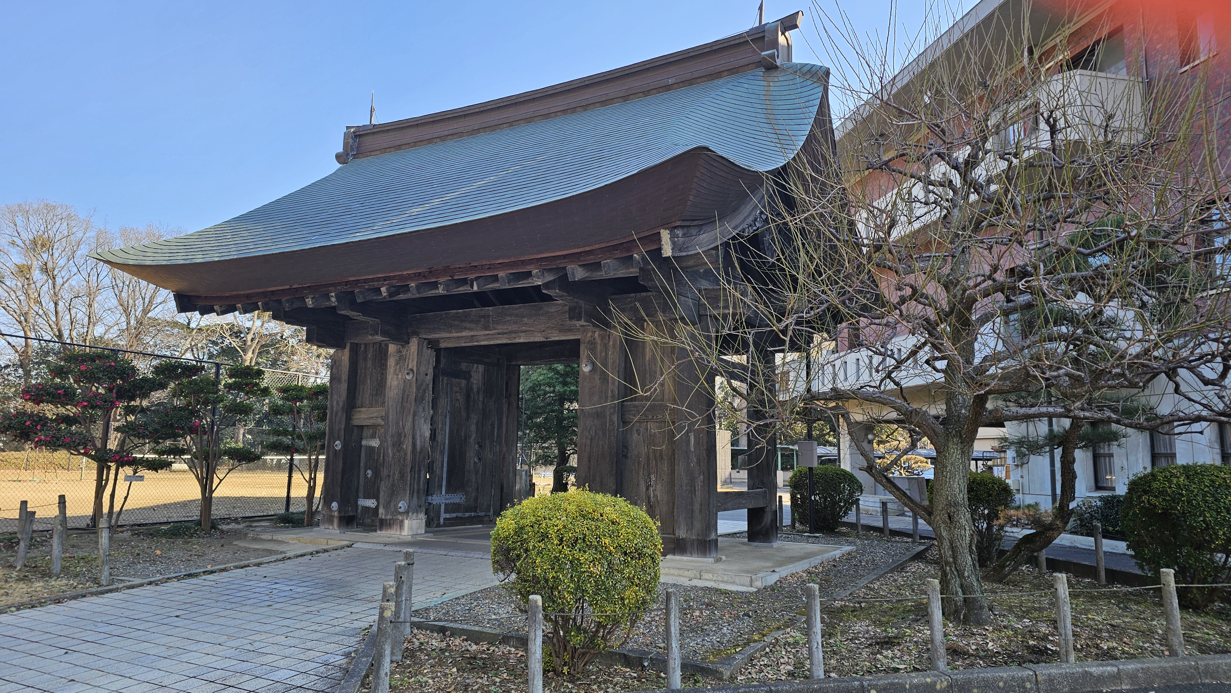 Rito 分享的打卡照片