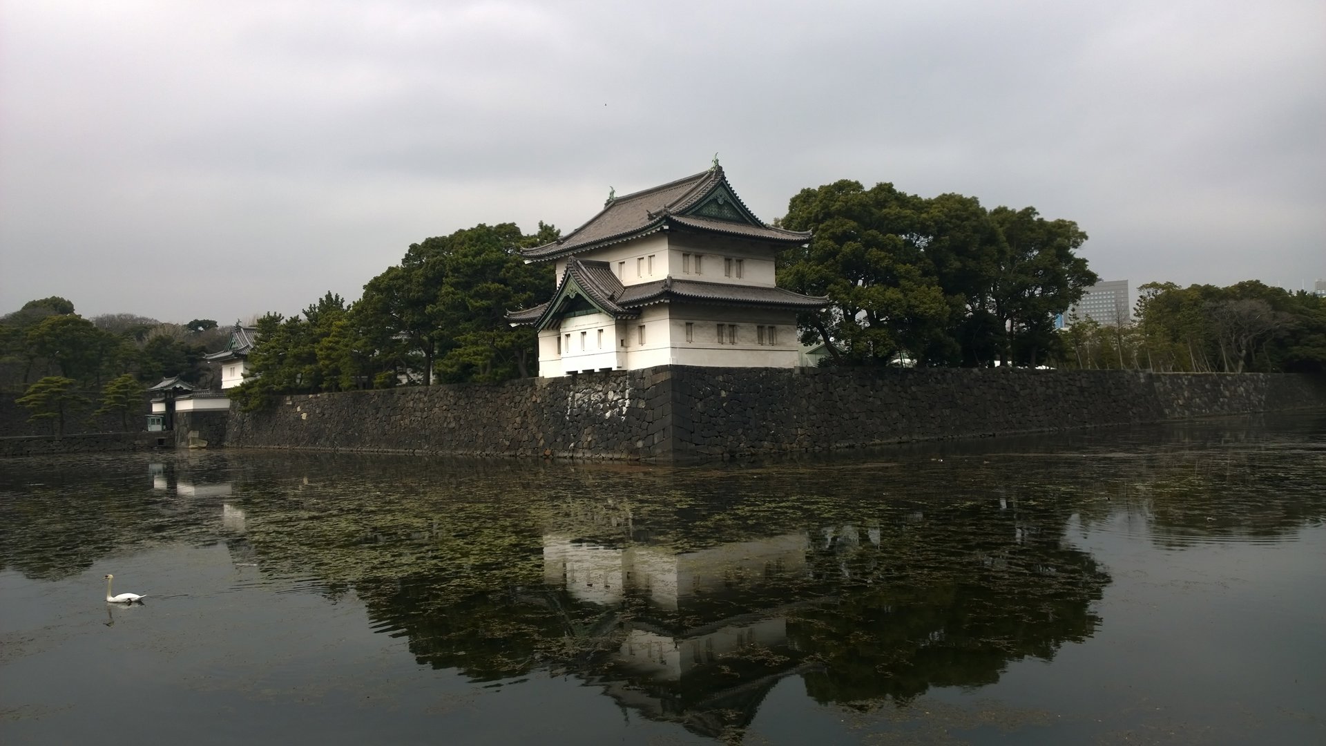 Rito 分享的打卡照片