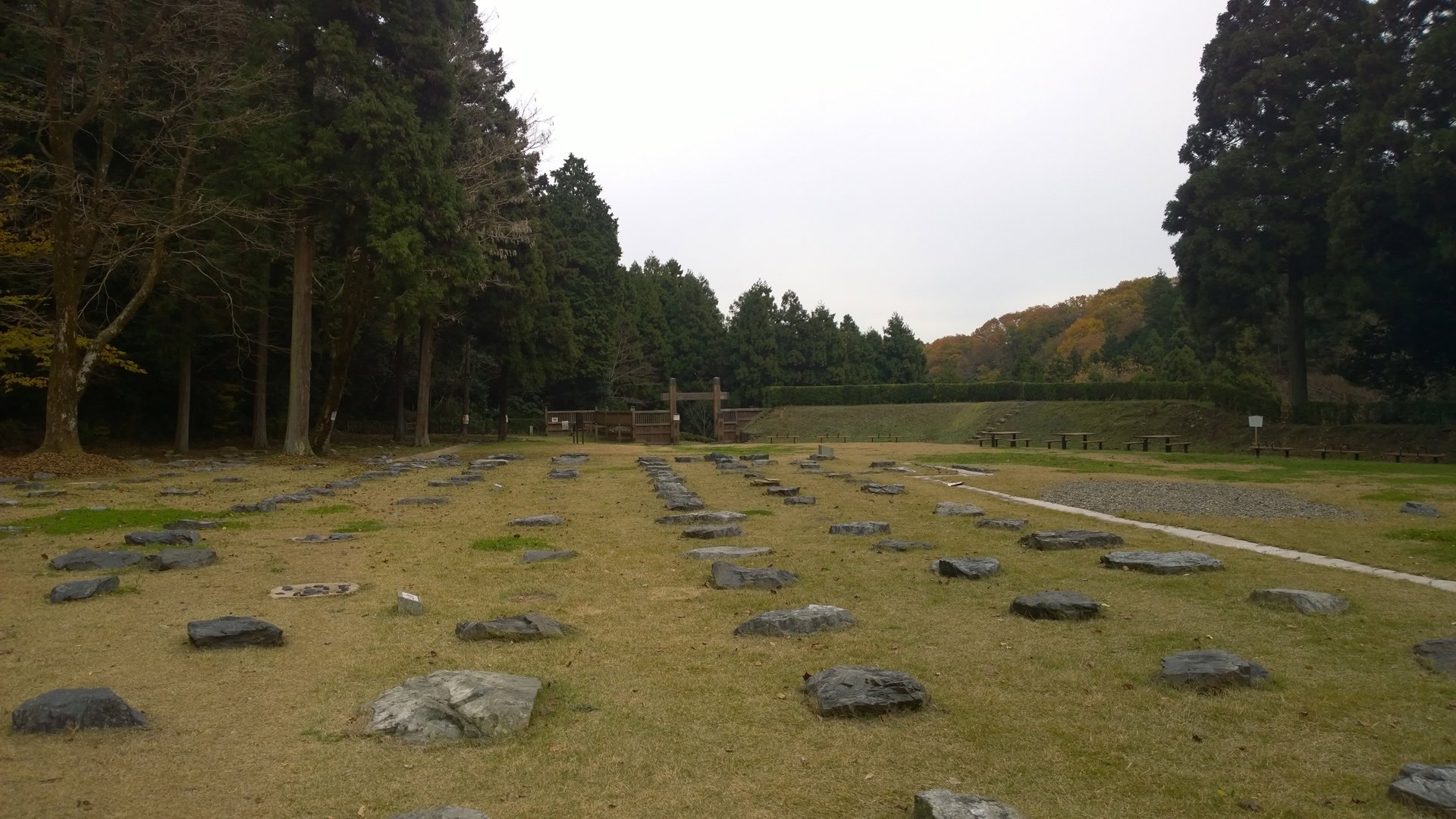 Rito 分享的打卡照片