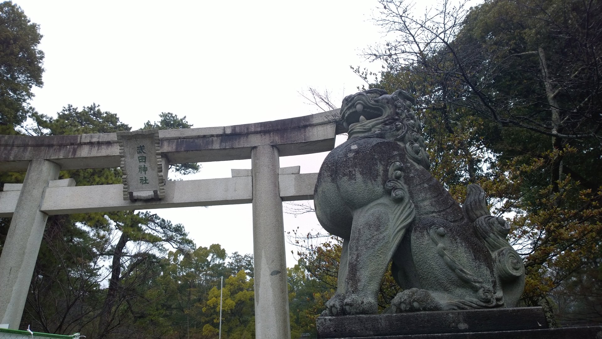 Rito 分享的打卡照片