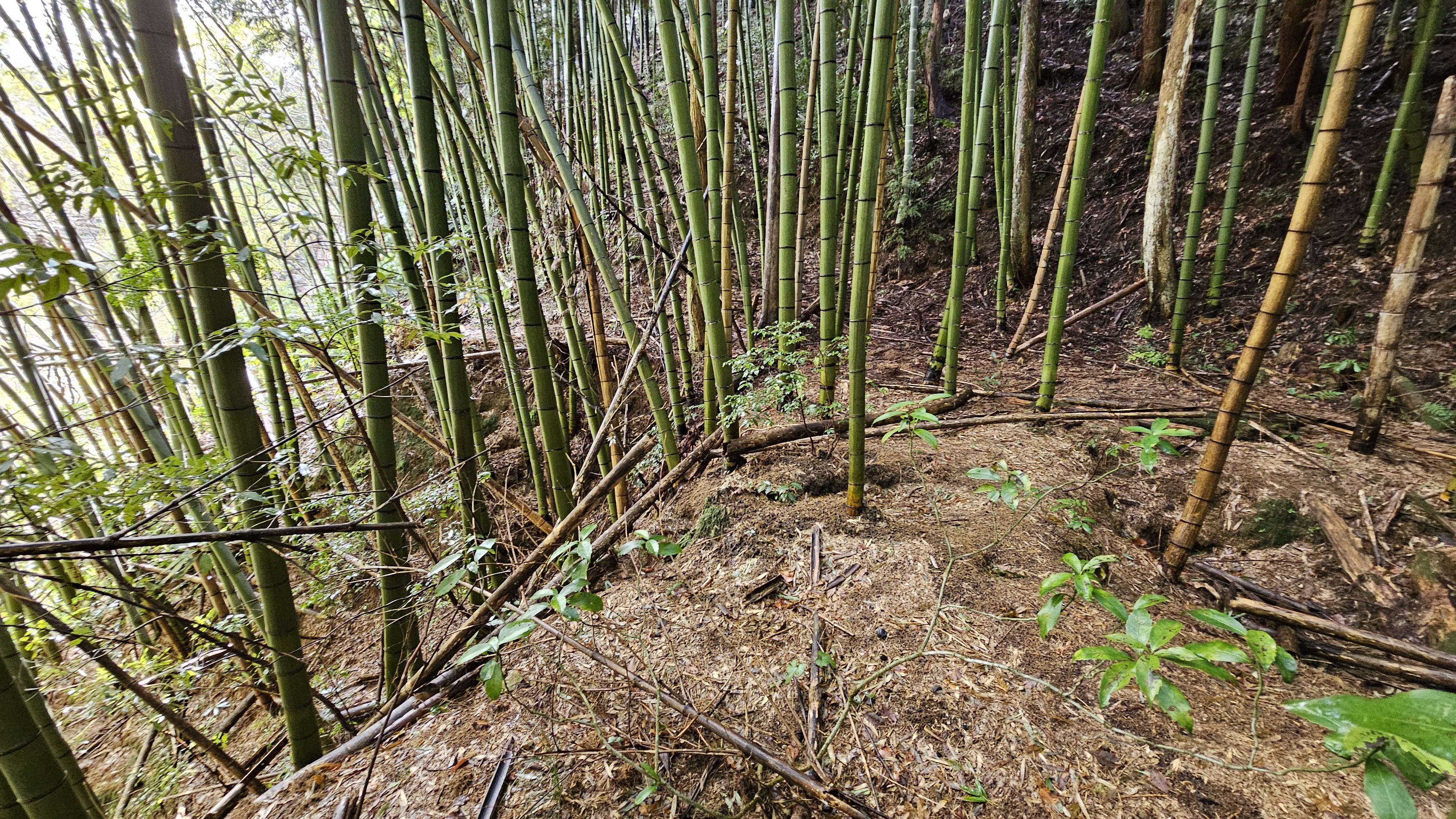 Rito 分享的打卡照片