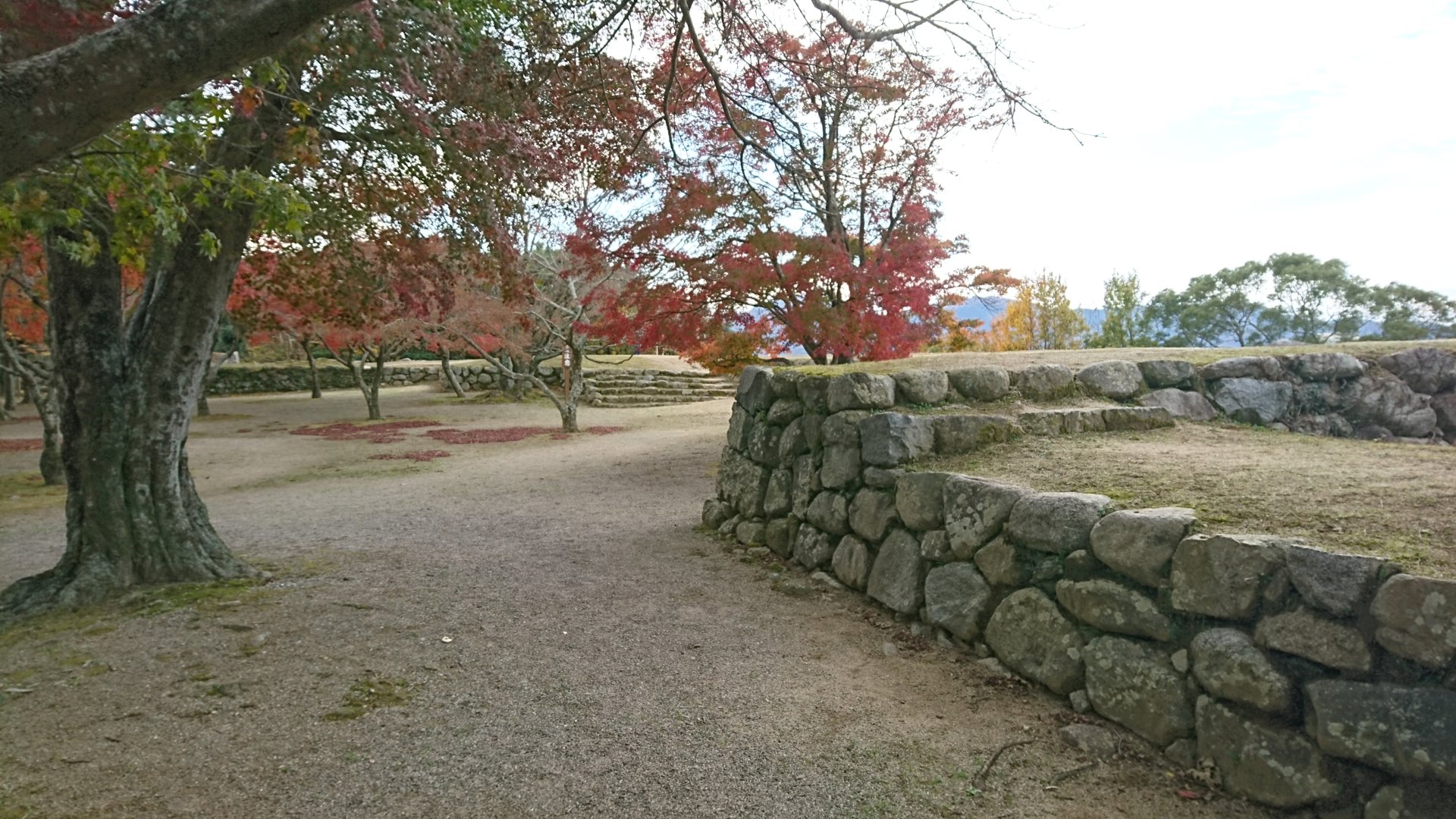 Rito 分享的打卡照片