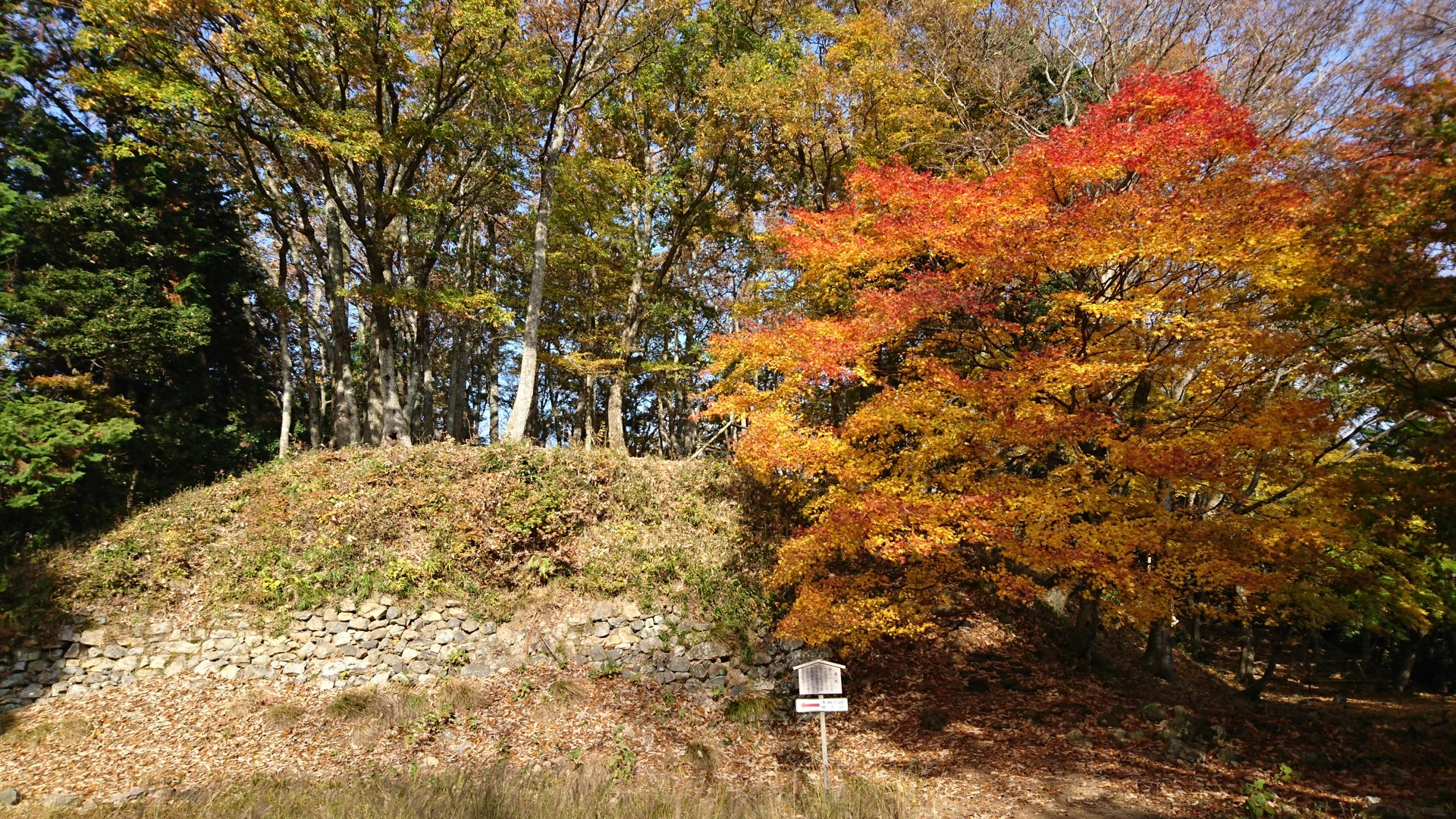 Rito 分享的打卡照片