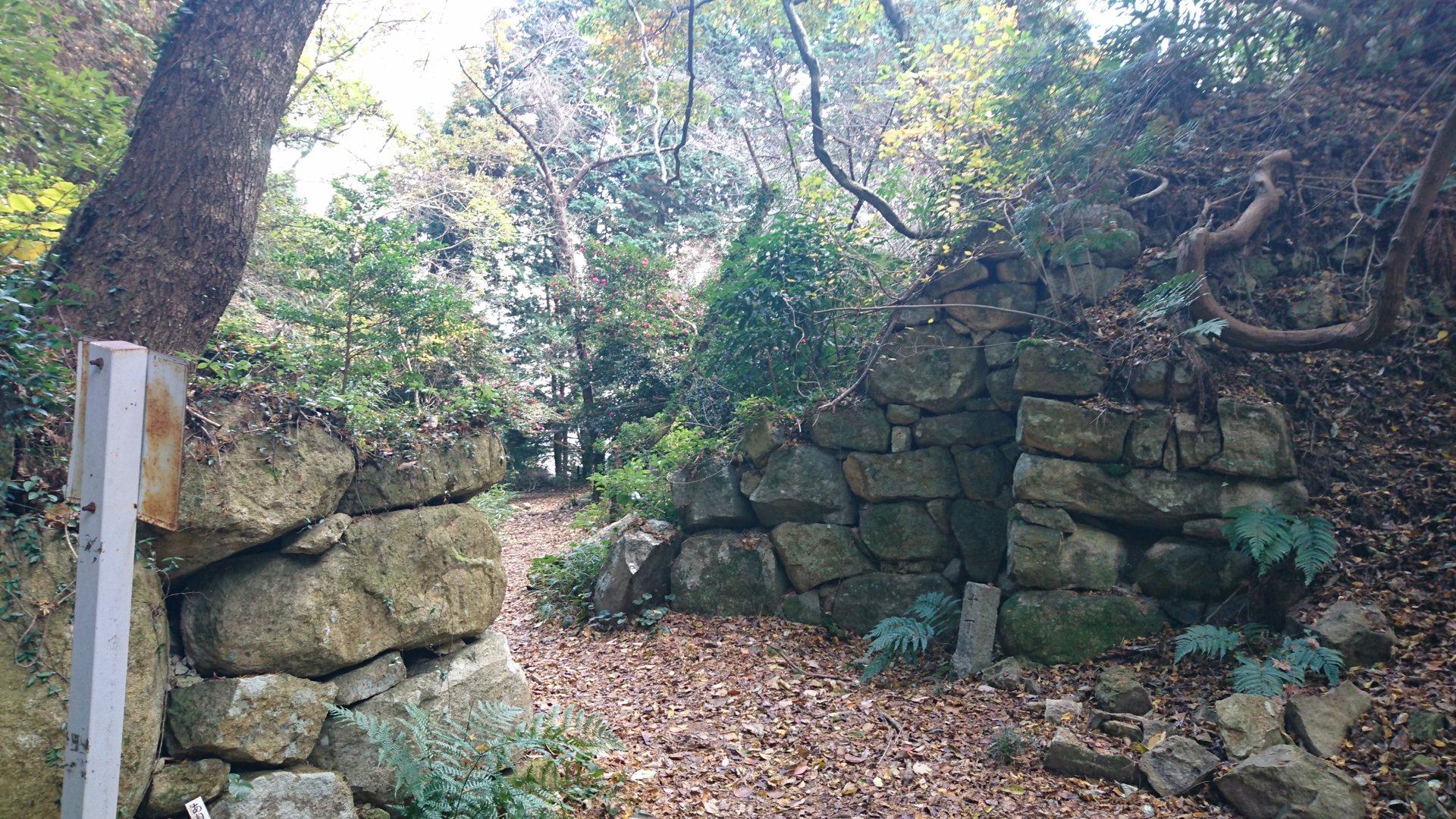 Rito 分享的打卡照片