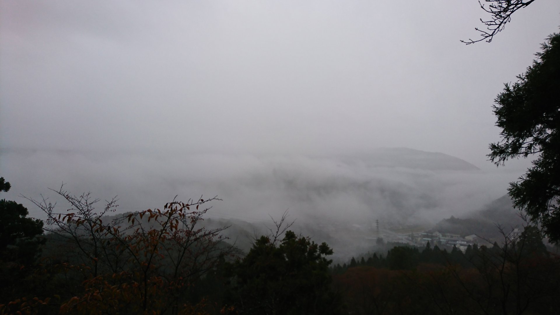 Rito 分享的打卡照片