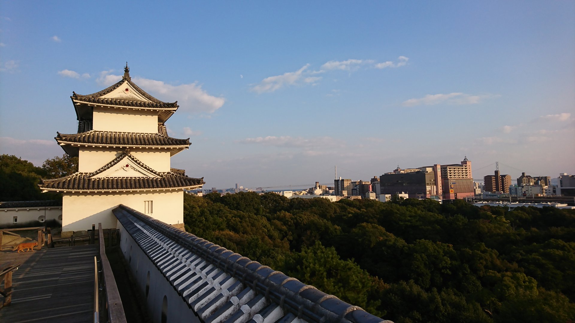 Rito 分享的打卡照片