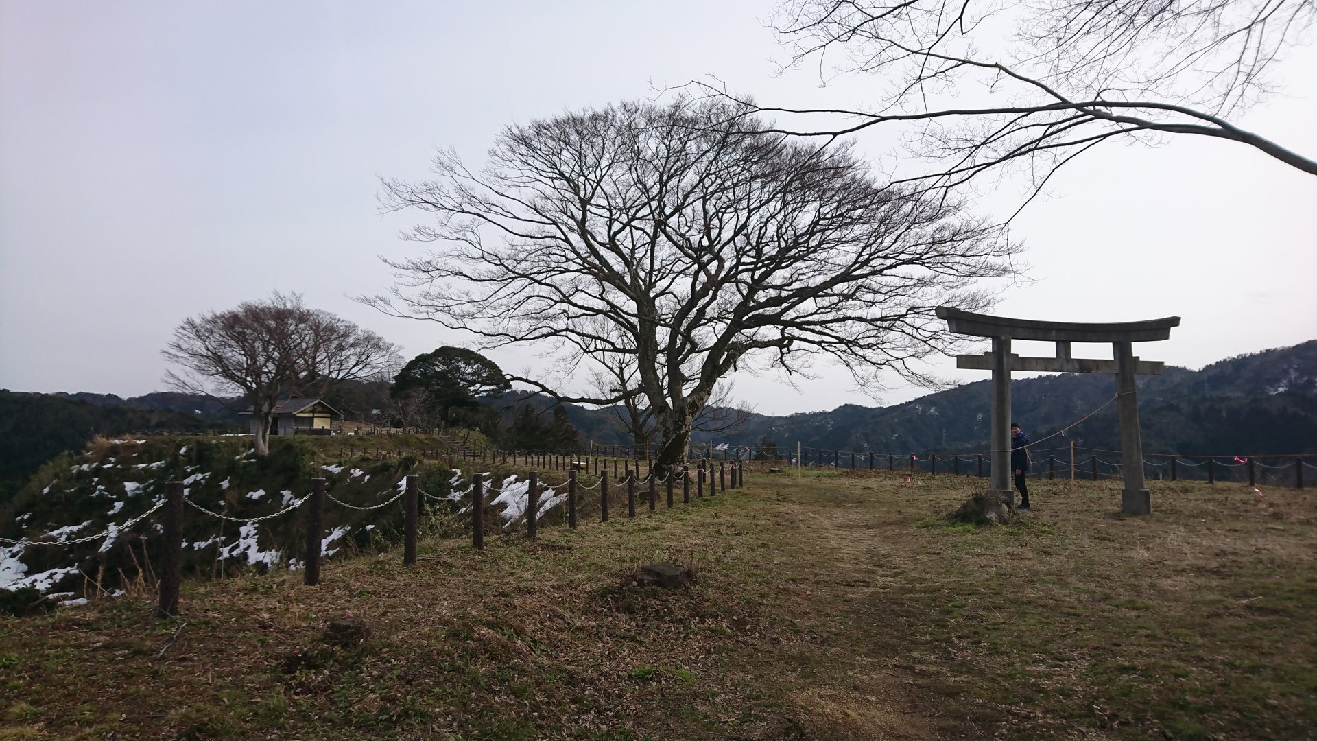 Rito 分享的打卡照片