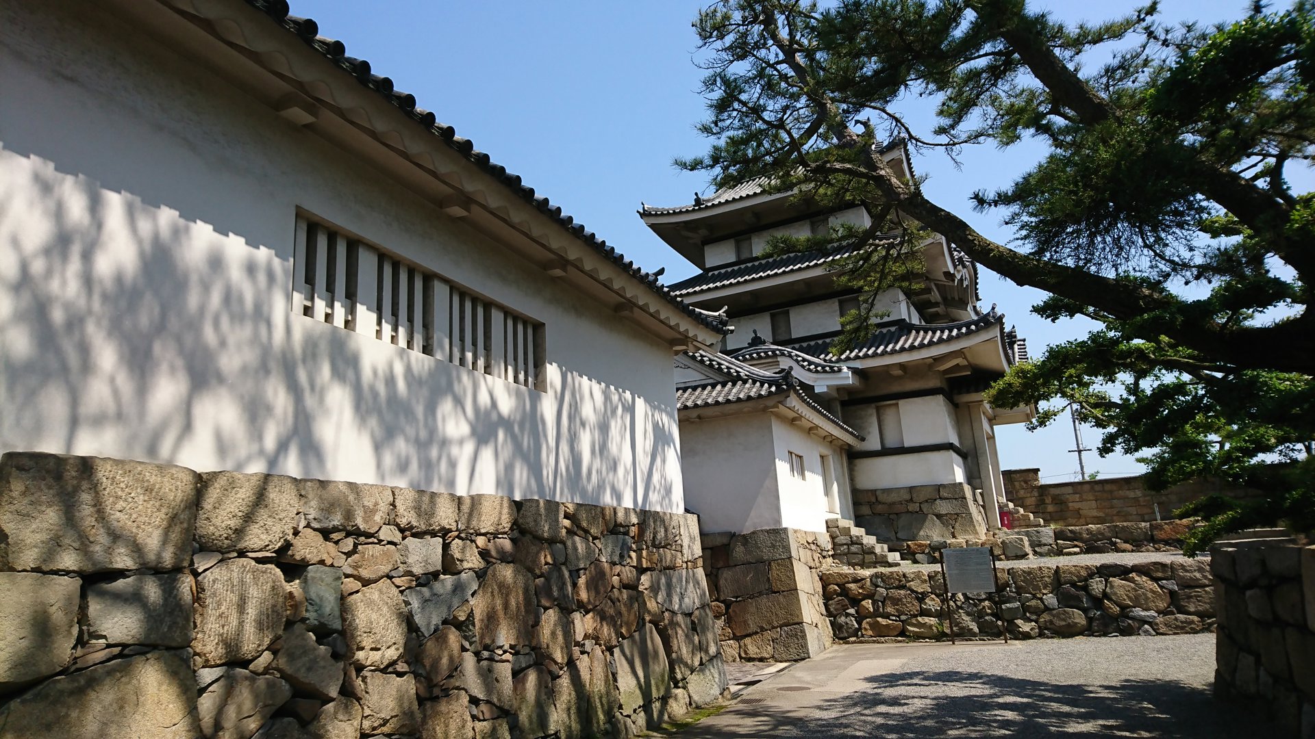 Rito 分享的打卡照片