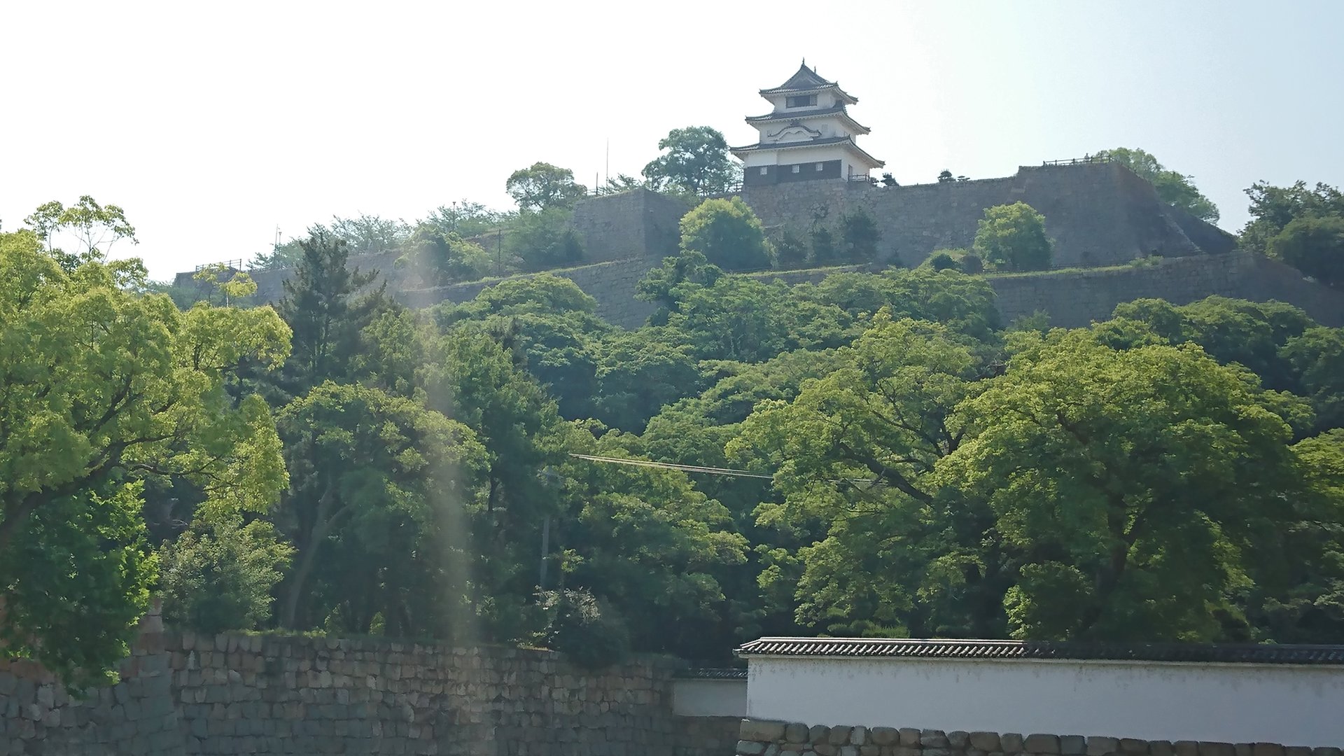 Rito 分享的打卡照片