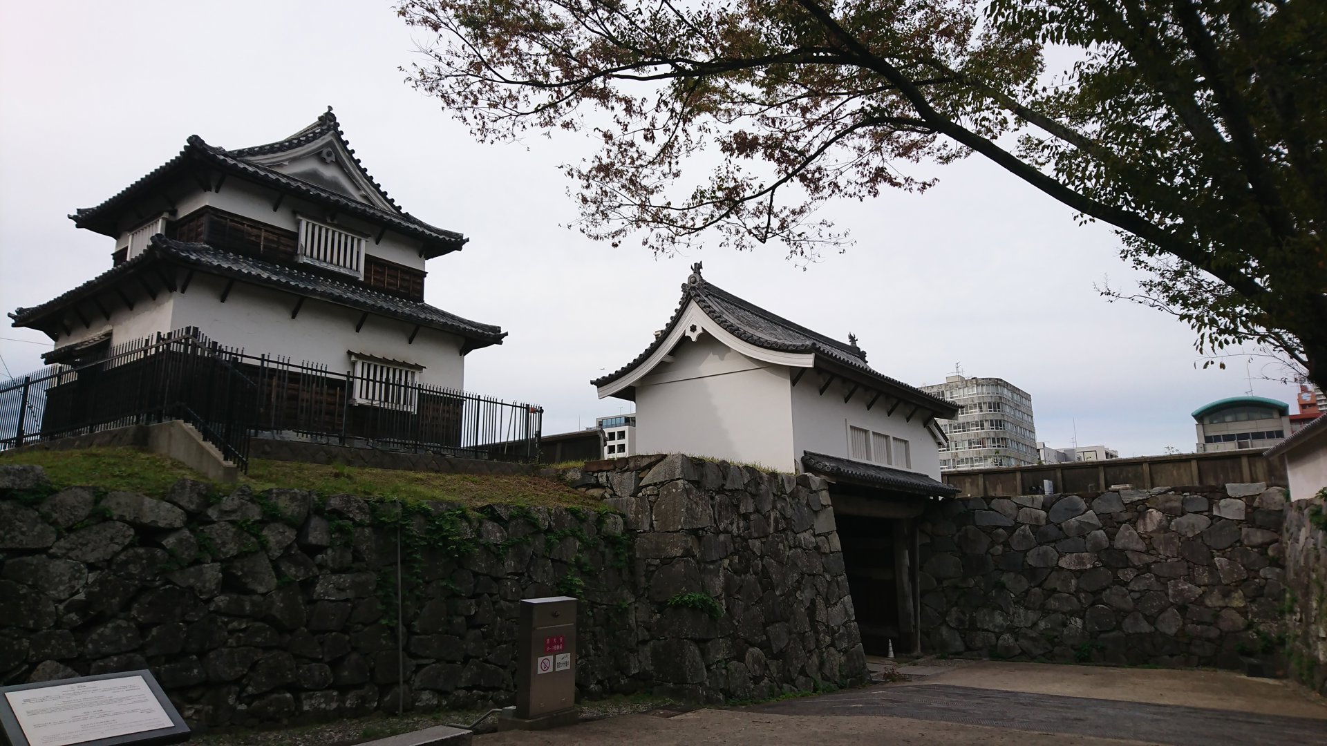 Rito 分享的打卡照片