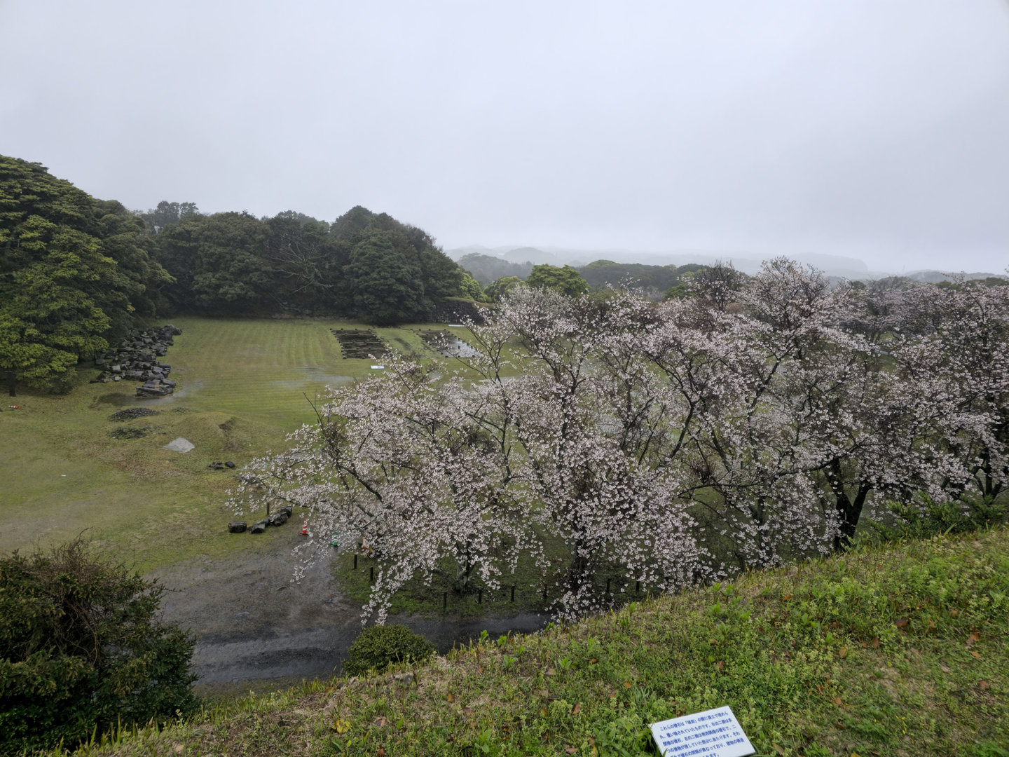 Rito 分享的打卡照片