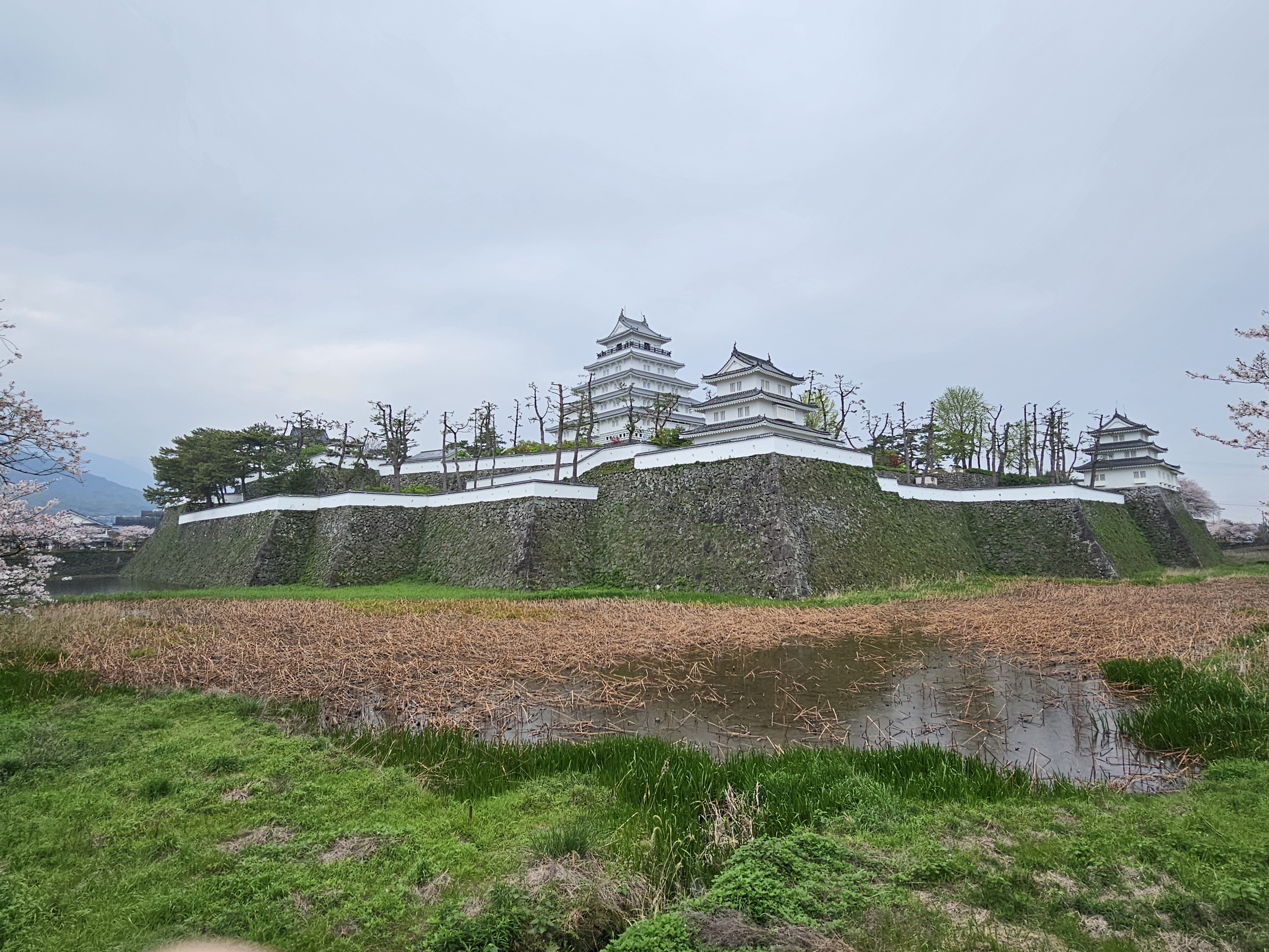 Rito 分享的打卡照片