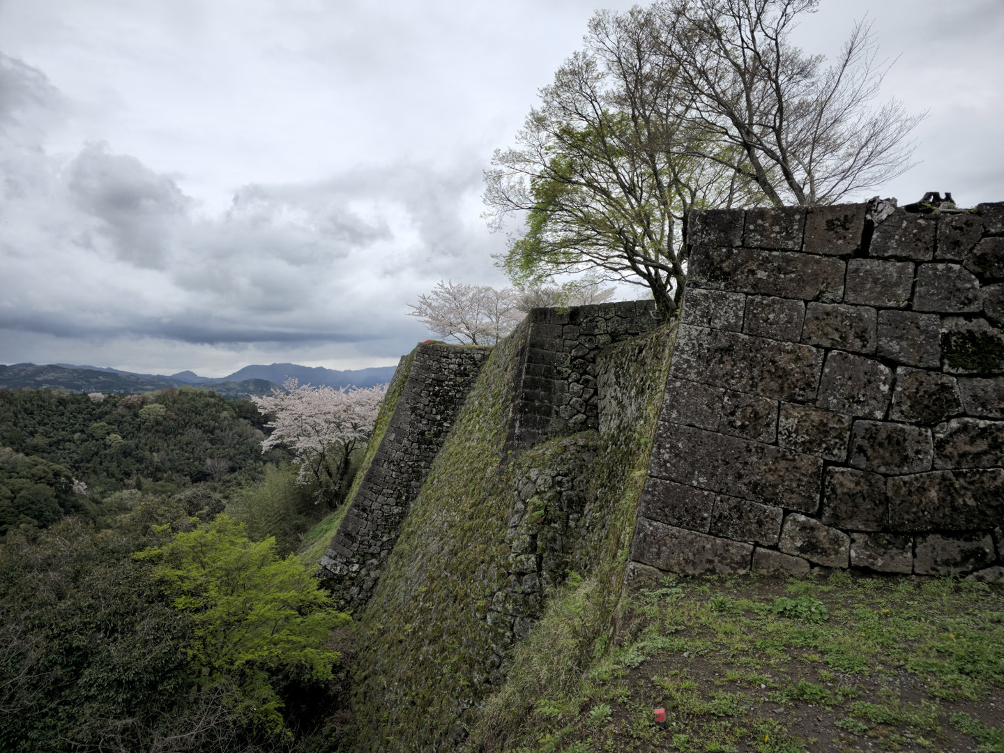 Rito 分享的打卡照片