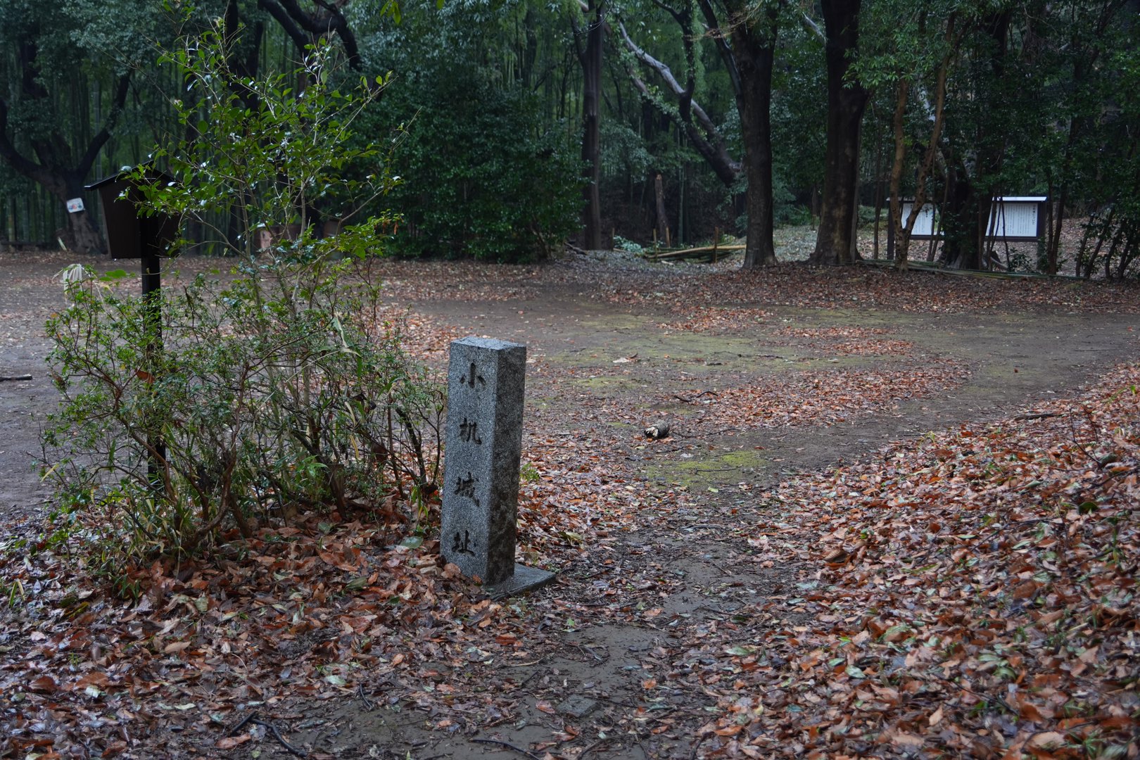 RockLin 分享的打卡照片