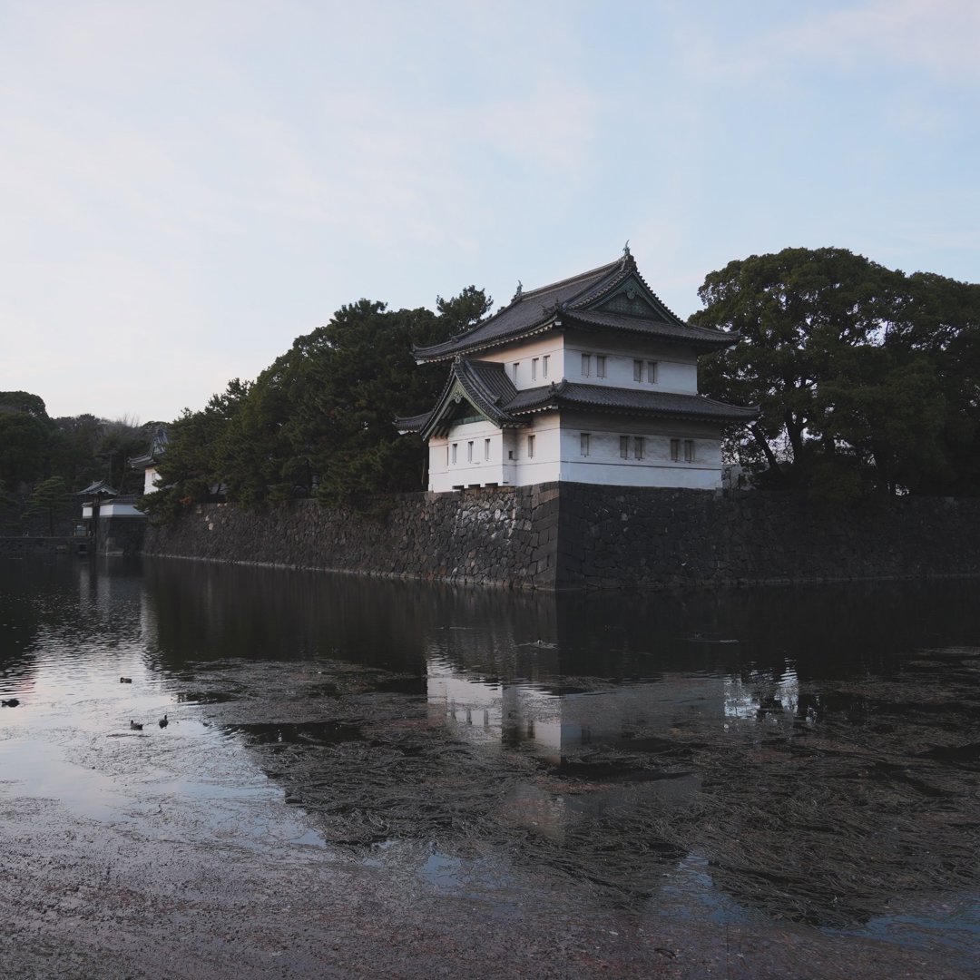 RockLin 分享的打卡照片