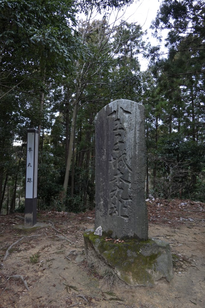 RockLin 分享的打卡照片