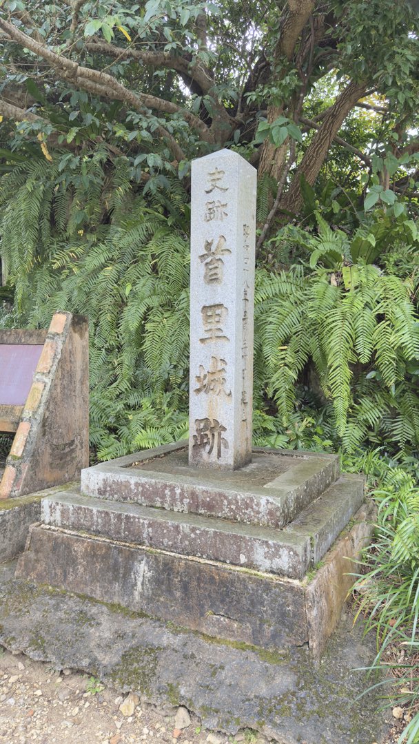 三沢光晴 分享的打卡照片