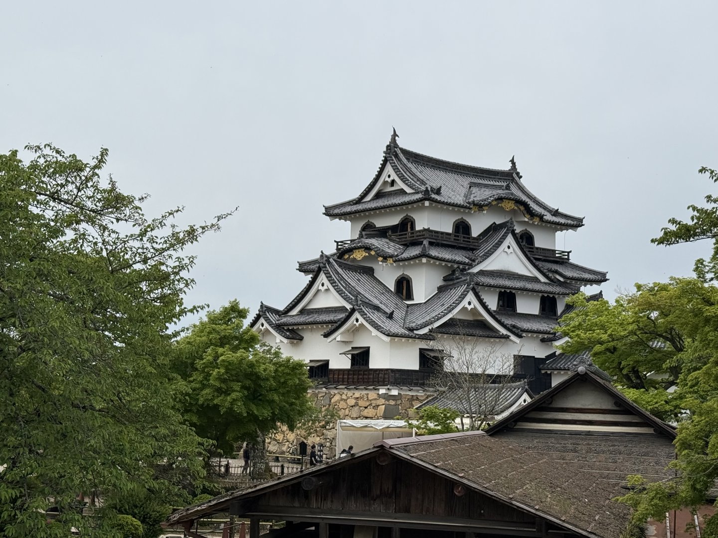 三沢光晴 分享的打卡照片