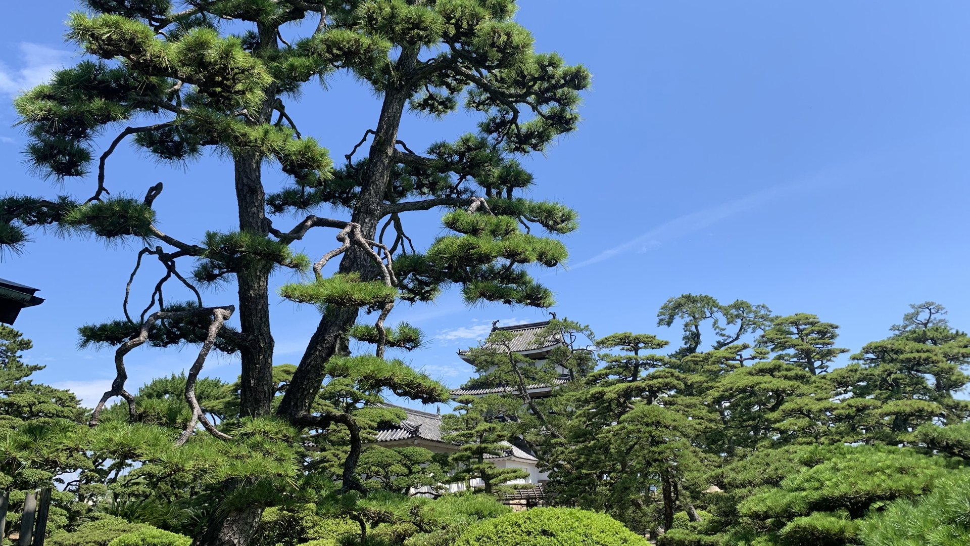 三沢光晴 分享的打卡照片