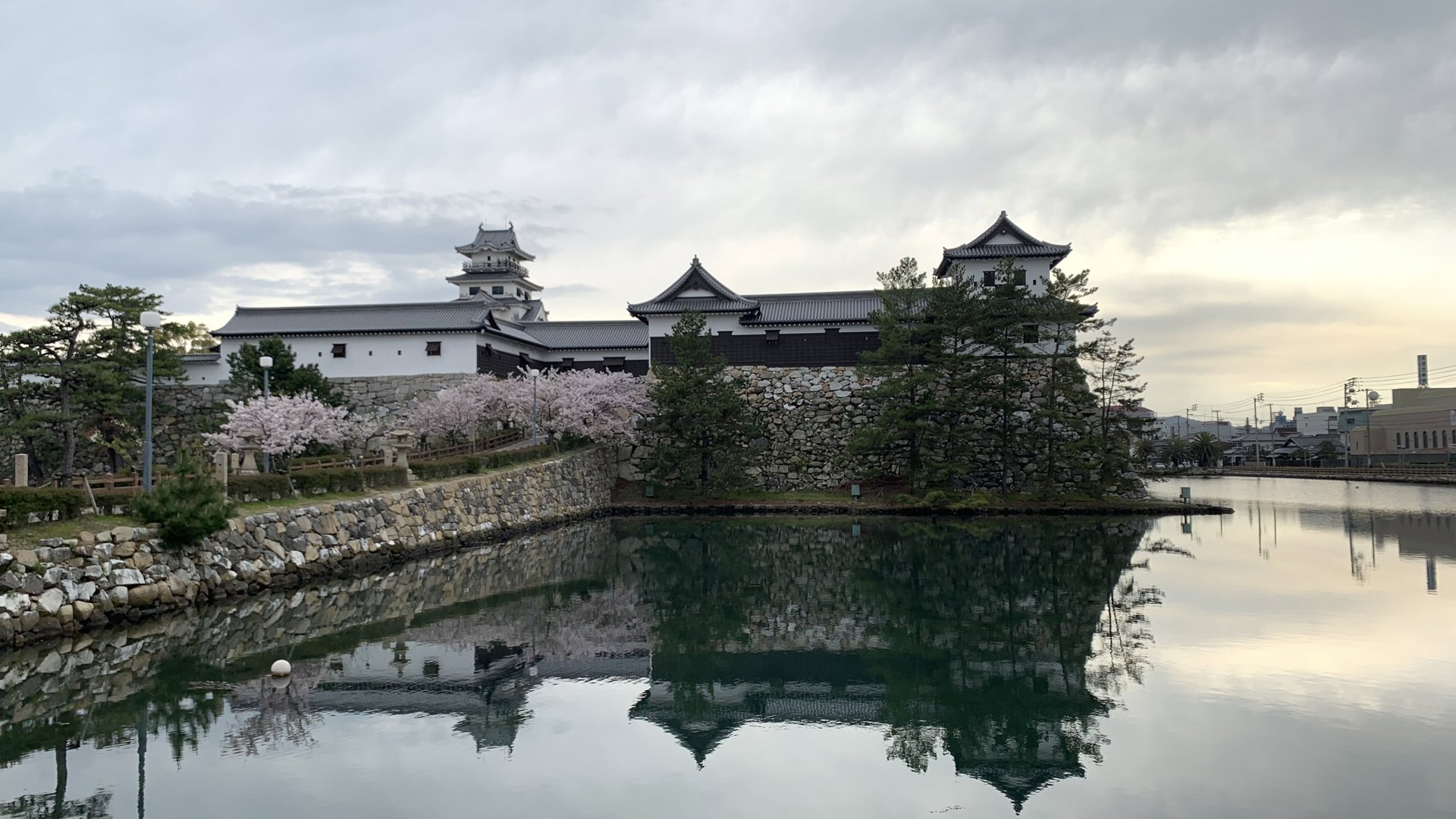 三沢光晴 分享的打卡照片