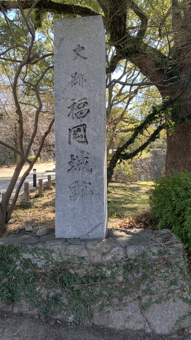 三沢光晴 分享的打卡照片