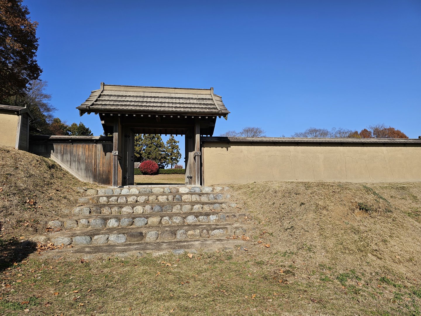 嘉仁 分享的打卡照片