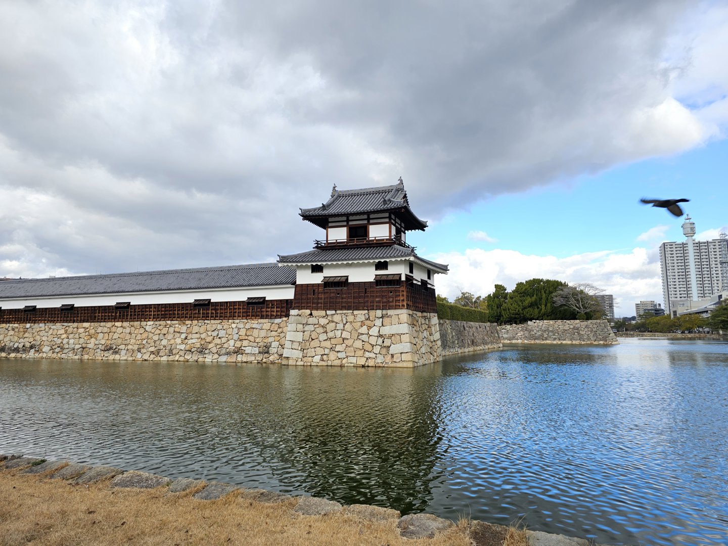 嘉仁 分享的打卡照片