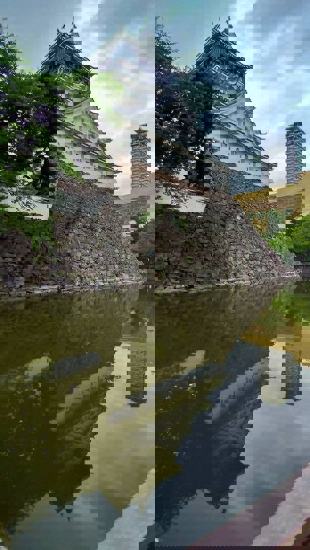 安南安宰賢 分享的打卡照片