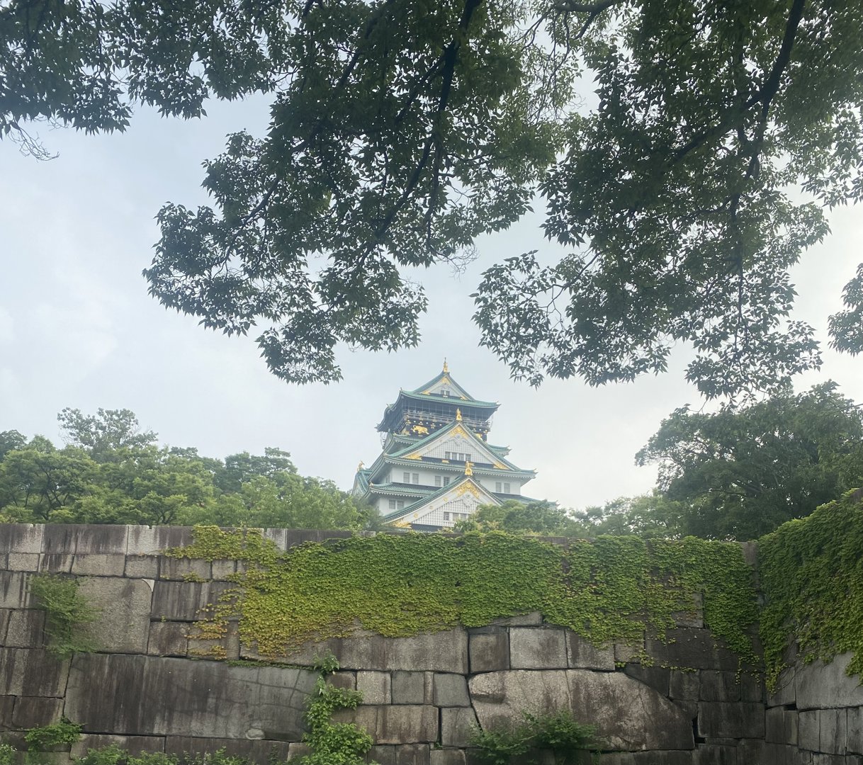 KAFUカフ 分享的打卡照片