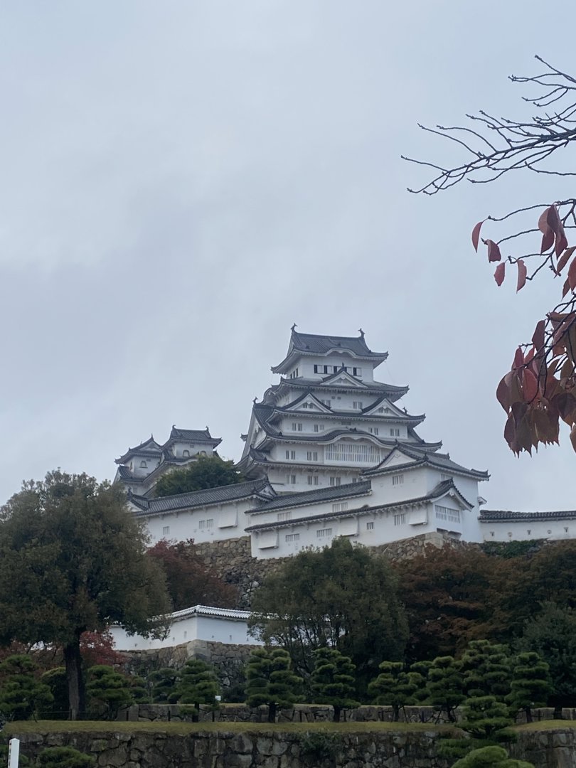 KAFUカフ 分享的打卡照片